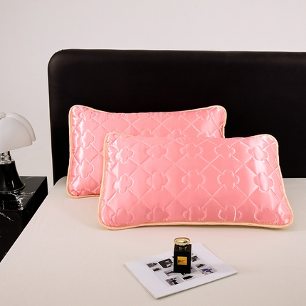 梦舒羽 2025新款夏季冰丝凉感夹棉枕套单人一对装可水洗加厚枕头套宿舍48x74cm枕芯套 夹棉加厚-玉色