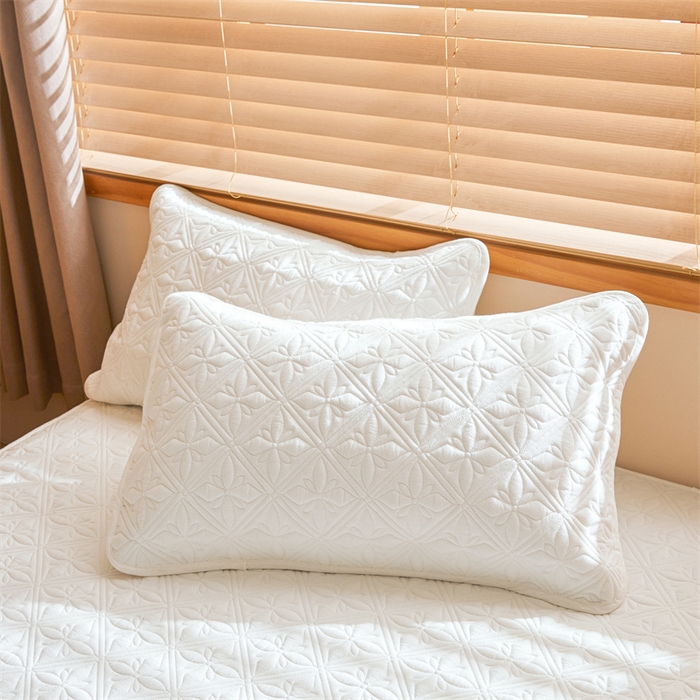 91家纺网 家纺一手货源 找家纺 3C 2025全棉蚕丝蛋白夹棉床笠 天星花-云朵白