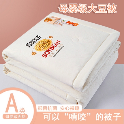 91家纺网 家纺一手货源 找家纺 （总）伊梵居 2025新款高克重水洗棉原棉大豆被夏被