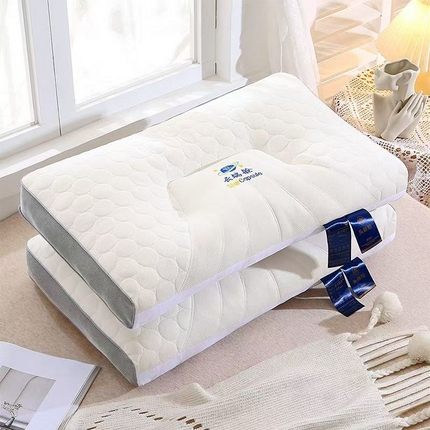 91家纺网 家纺一手货源 找家纺 （总）羽凡居 2024新款太空舱枕枕头枕芯