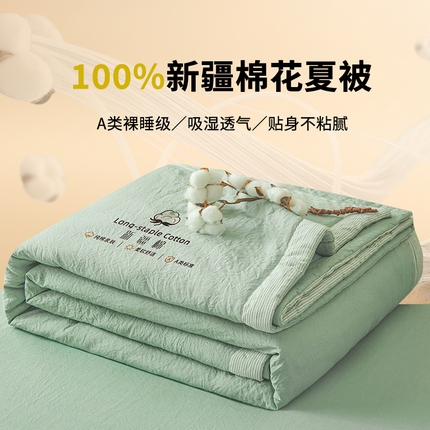 91家纺网 家纺一手货源 找家纺 （总）创优家纺 2025新款无印风格子新疆棉夏被空调被纯棉花被夏被子薄被芯水洗棉包检测