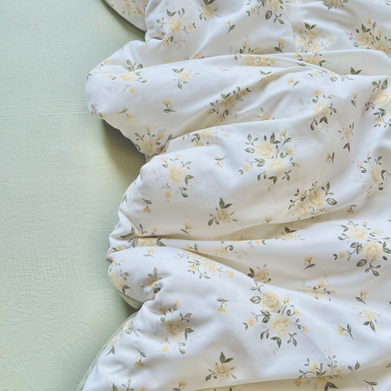 南北家居 2025新款A类宝宝棉双层纱系列四件套-普通款 椿野初见