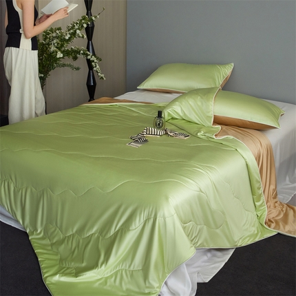 91家纺网 家纺一手货源 找家纺 （总）头等舱  2025新款水光缎冰肌锦氨A类55植物大豆7A抗菌夏被配包装模特图