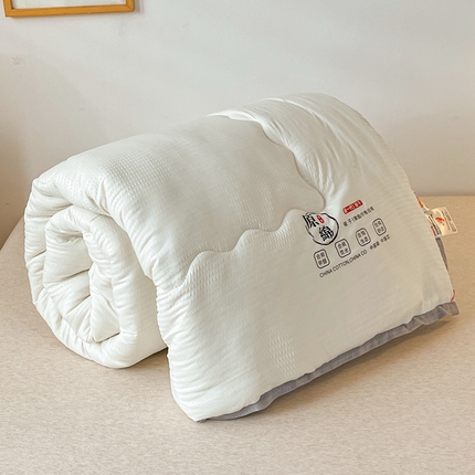 百花王2025新款泡泡棉纯色简约升级款大豆被子被芯 原棉大豆被泡泡升级款 -奶白色