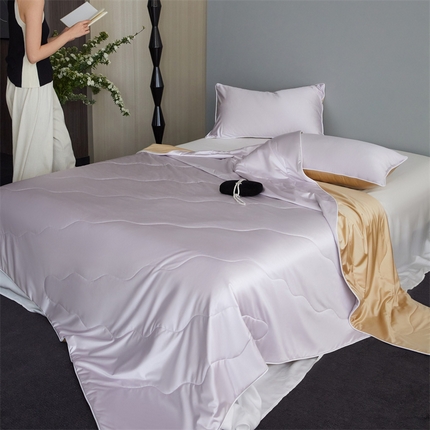 91家纺网 家纺一手货源 找家纺 （总）头等舱  2025新款水光缎冰肌锦氨A类55植物大豆7A抗菌夏被配包装模特图