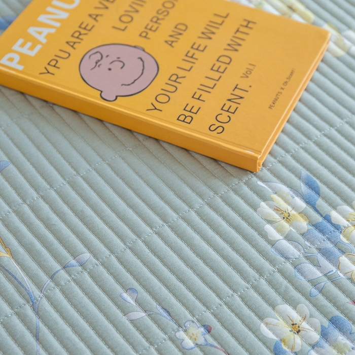 91家纺网 家纺一手货源 找家纺 晨晨家纺2025新款双面全棉床盖款三件套 青棠