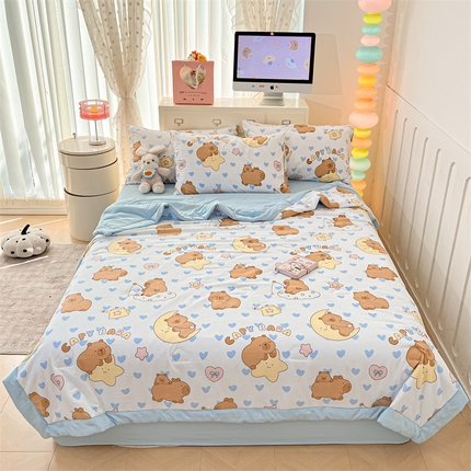 美梦里 2025新款A类水洗棉棉花夏被 夏凉被空调被 小星心