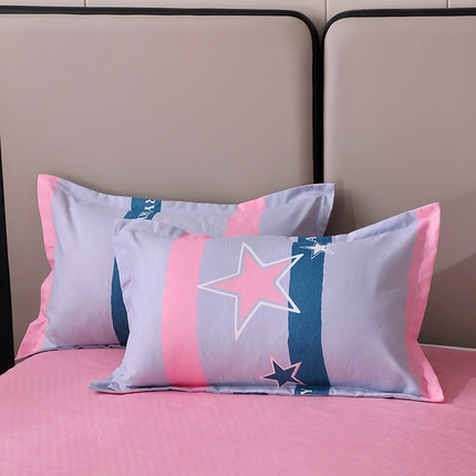 91家纺网 家纺一手货源 找家纺 （总）北部居2025新款加厚印花系列--单枕套