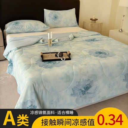 91家纺网 家纺一手货源 找家纺 （总）丹本家纺 2025新款A类锦氨凉感被数码印花夏被夏凉被空调被