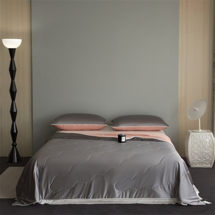 91家纺网 家纺一手货源 找家纺 （总）头等舱  2025新款水光缎冰肌锦氨A类55植物大豆7A抗菌夏被配礼盒