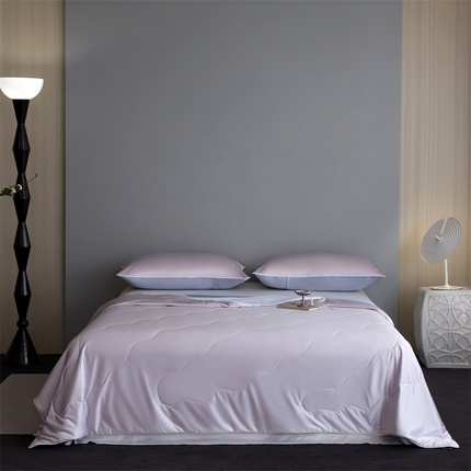 91家纺网 家纺一手货源 找家纺 （总）头等舱  2025新款水光缎冰肌锦氨A类55植物大豆7A抗菌夏被配礼盒