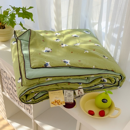 美派工厂店2025新款水洗邹邹纱夏被 一只绿狗