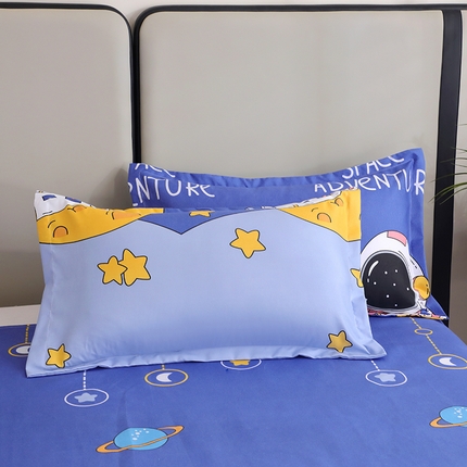 91家纺网 家纺一手货源 找家纺 （总）北部居2025新款加厚印花系列--单枕套