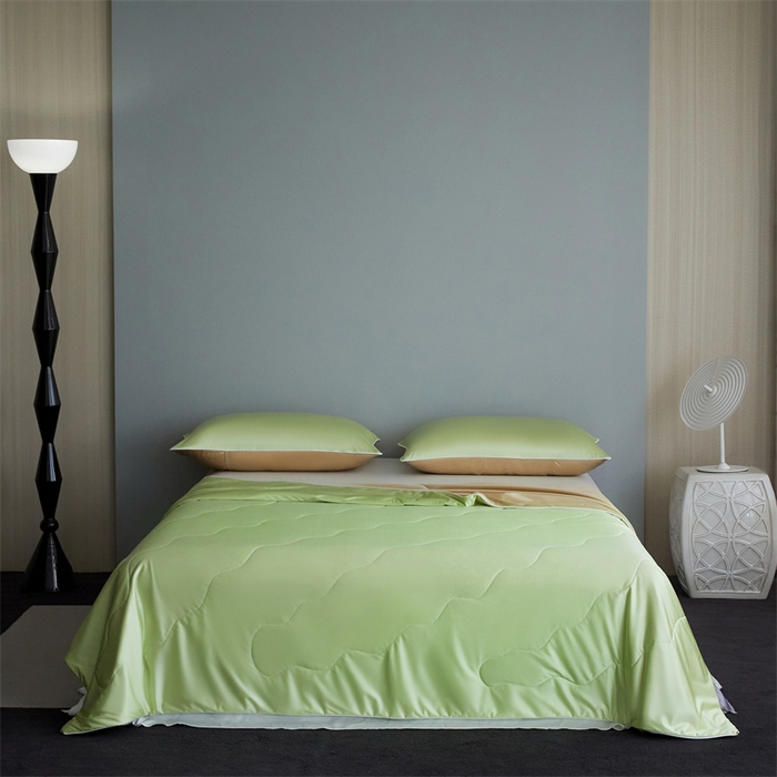 91家纺网 家纺一手货源 找家纺 （总）头等舱  2025新款水光缎冰肌锦氨A类55植物大豆7A抗菌夏被配礼盒