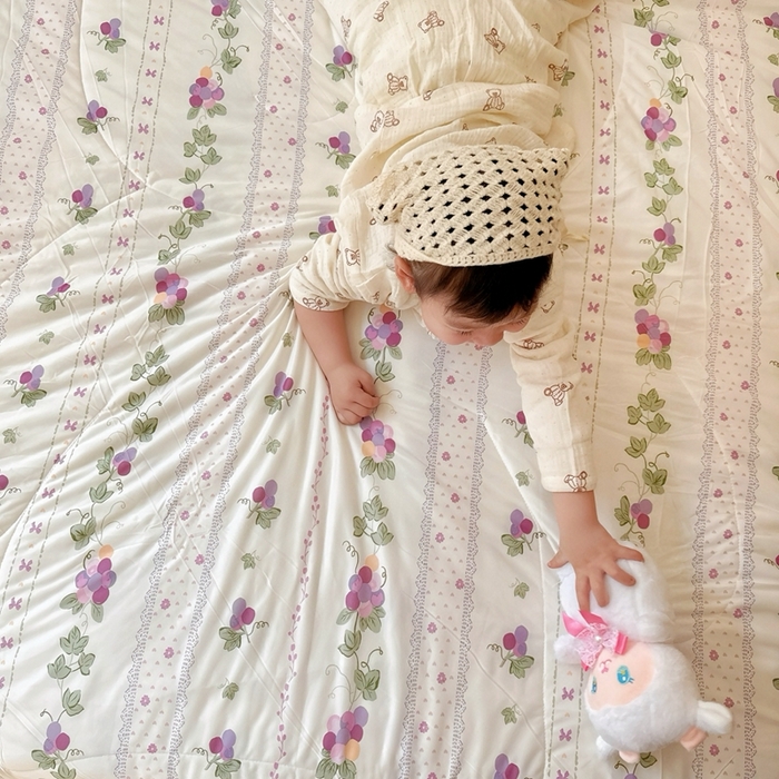 91家纺网 家纺一手货源 找家纺 兜米  2025夏季A类针织棉夏凉被小清新卡通双面针织棉空调被子被芯 小葡萄