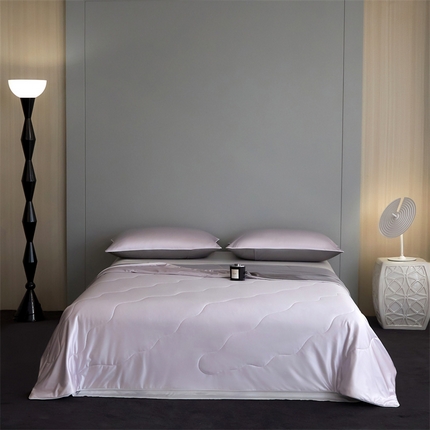 91家纺网 家纺一手货源 找家纺 （总）头等舱  2025新款水光缎冰肌锦氨A类55植物大豆7A抗菌夏被配礼盒