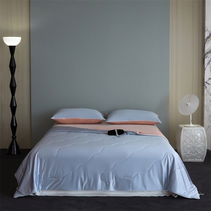 91家纺网 家纺一手货源 找家纺 （总）头等舱  2025新款水光缎冰肌锦氨A类55植物大豆7A抗菌夏被配礼盒