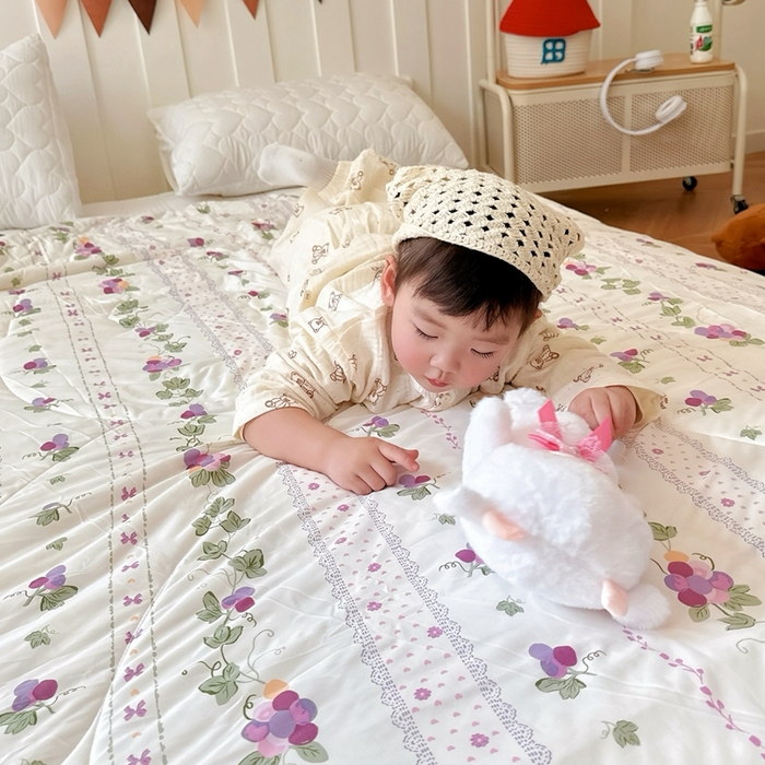 91家纺网 家纺一手货源 找家纺 兜米  2025夏季A类针织棉夏凉被小清新卡通双面针织棉空调被子被芯 小葡萄