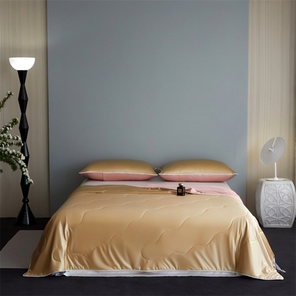 91家纺网 家纺一手货源 找家纺 （总）头等舱  2025新款水光缎冰肌锦氨A类55植物大豆7A抗菌夏被配礼盒