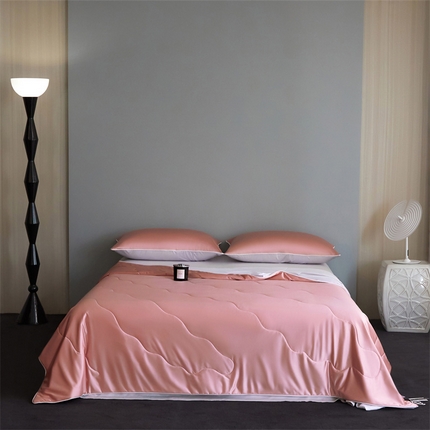 91家纺网 家纺一手货源 找家纺 （总）头等舱  2025新款水光缎冰肌锦氨A类55植物大豆7A抗菌夏被配礼盒