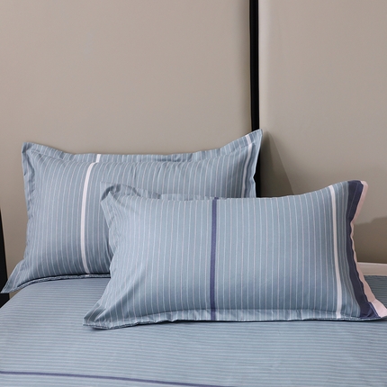 91家纺网 家纺一手货源 找家纺 （总）北部居2025新款加厚印花系列--单枕套