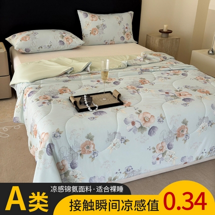 91家纺网 家纺一手货源 找家纺 （总）丹本家纺 2025新款A类锦氨凉感被数码印花夏被夏凉被空调被