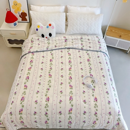 兜米  2025夏季A类针织棉夏凉被小清新卡通双面针织棉空调被子被芯 小葡萄