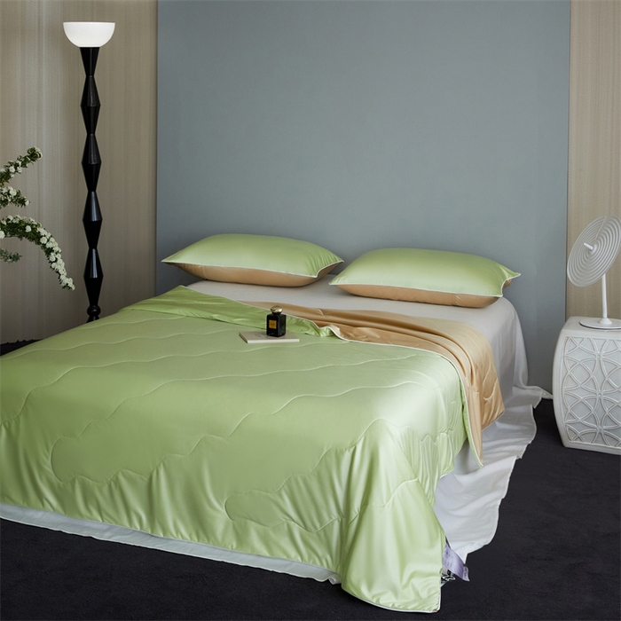 91家纺网 家纺一手货源 找家纺 （总）头等舱  2025新款水光缎冰肌锦氨A类55植物大豆7A抗菌夏被配礼盒