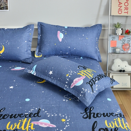 91家纺网 家纺一手货源 找家纺 （总）北部居2025新款加厚印花系列--单枕套