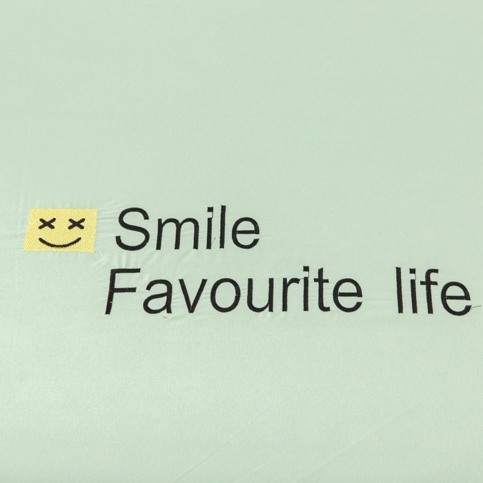 91家纺网 家纺一手货源 找家纺 笠裙家纺 2025新款110克微笑款单床裙轻奢款单床裙简约单床裙绣花单床裙 微笑-抹茶