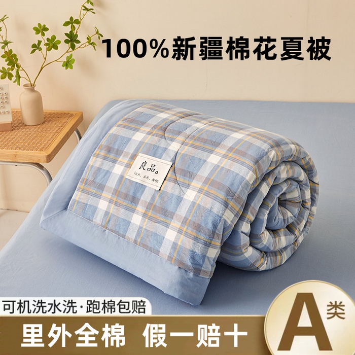 秋泽家纺 2025新款全棉色织水洗棉棉花夏被夏凉被空调被 简兮蓝