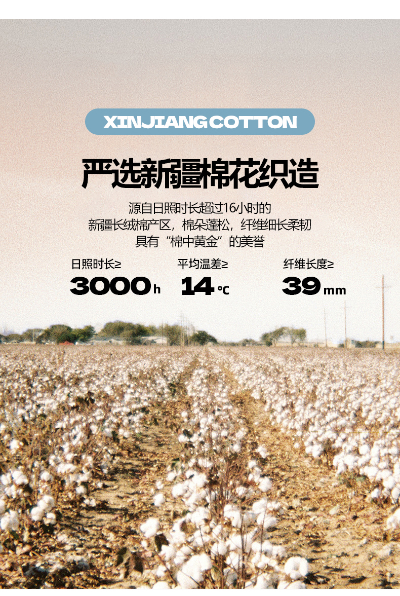 91家纺网 家纺一手货源 找家纺 （总）2025新款A类色织新疆棉抗菌夏被棉花被