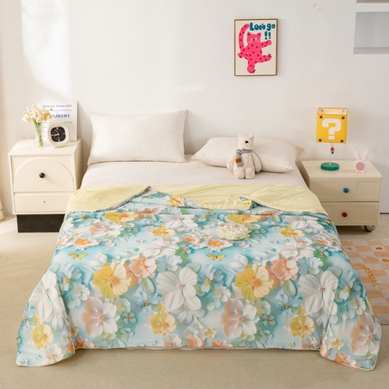  居易简 2025新款5D夏被空调被A类云母仿锦氨凉感丝夏凉被 梦幻花园