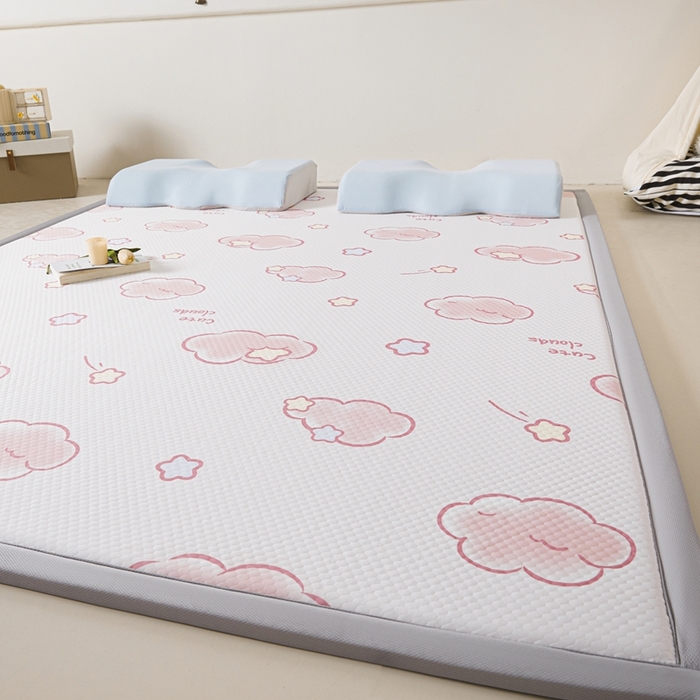 91家纺网 家纺一手货源 找家纺 川悦生活 2025新款数码印花冰豆豆凉席床垫-学生床-系列二 软噗奶云