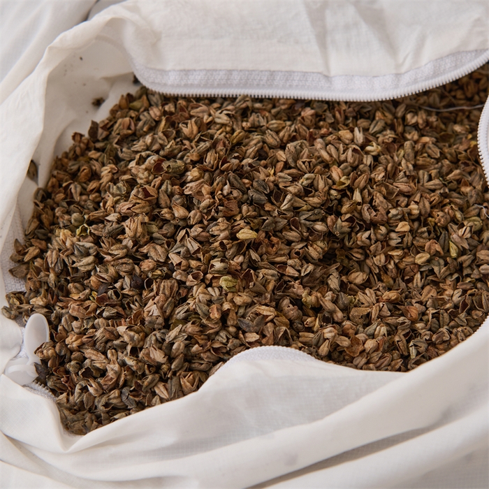 91家纺网 家纺一手货源 找家纺 芯洲 2025新款针织棉荞麦颈椎牵引枕枕头枕芯 针织圆形颈椎枕-咖42*12cm/只（苦荞麦）