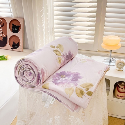 91家纺网 家纺一手货源 找家纺 好梦来家纺（原锦茂家纺） 2025新款印花凉感丝抗菌夏被 盛夏