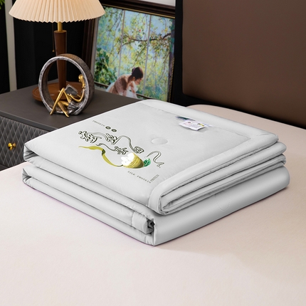 91家纺网 家纺一手货源 找家纺 （总）一博2025新款蚕丝夏凉被