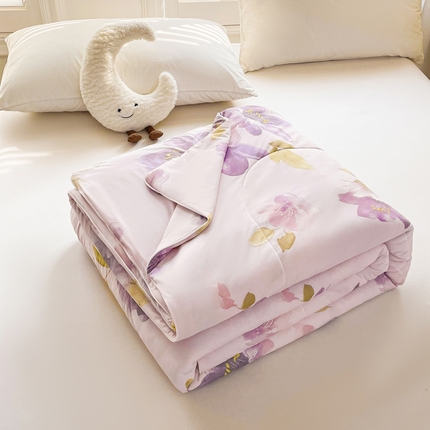 好梦来家纺（原锦茂家纺） 2025新款印花凉感丝抗菌夏被 盛夏