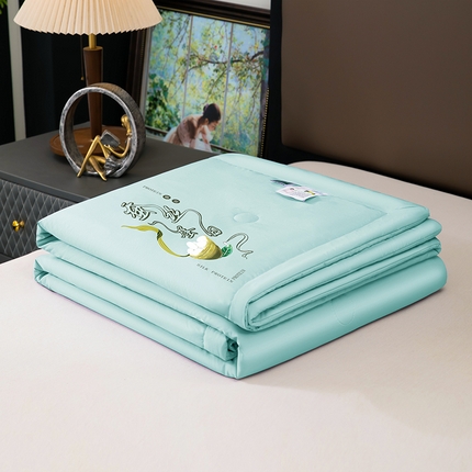 91家纺网 家纺一手货源 找家纺 （总）一博2025新款蚕丝夏凉被