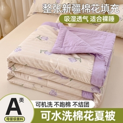91家纺网 家纺一手货源 找家纺 雪鲨家纺  2025新款A类水洗棉夏被新疆棉花夏凉被空调被可机洗薄被子被芯 郁金香紫,郁金香紫