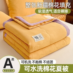 91家纺网 家纺一手货源 找家纺 雪鲨家纺  2025新款A类水洗棉夏被新疆棉花夏凉被空调被可机洗薄被子被芯 杏黄,杏黄