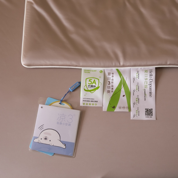 91家纺网 家纺一手货源 找家纺 （总）圣梦莱羽绒家纺 2025春夏新款A类锦氨凉感丝亮丝冰丝绸夏凉被亲肤丝绸被芯（凡质量问题由商家承担）