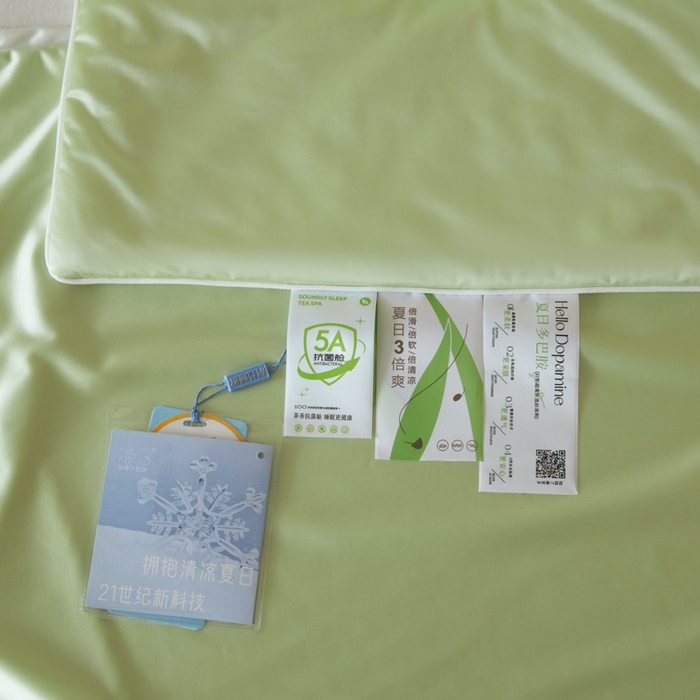 91家纺网 家纺一手货源 找家纺 圣梦莱羽绒家纺 2025春夏新款A类锦氨凉感丝亮丝冰丝绸夏凉被亲肤丝绸被芯 薄荷青柠檬