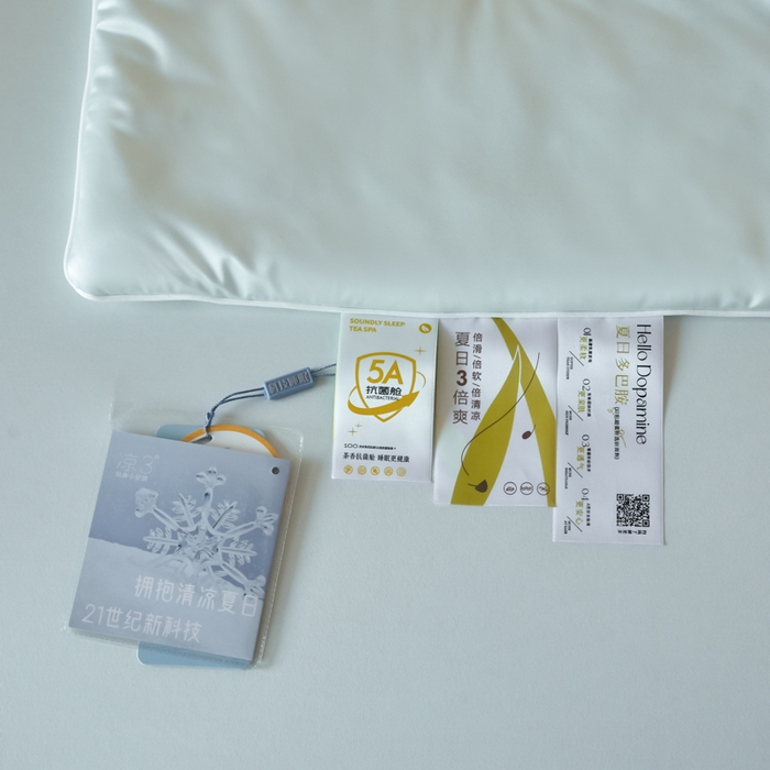 91家纺网 家纺一手货源 找家纺 圣梦莱羽绒家纺 2025春夏新款A类锦氨凉感丝亮丝冰丝绸夏凉被亲肤丝绸被芯 海盐天空蓝
