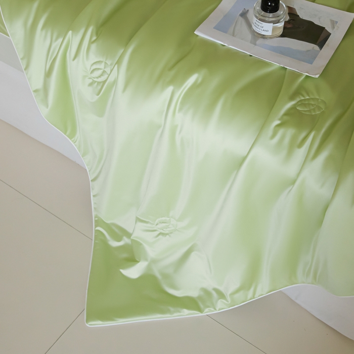 91家纺网 家纺一手货源 找家纺 圣梦莱羽绒家纺 2025春夏新款A类锦氨凉感丝亮丝冰丝绸夏凉被亲肤丝绸被芯 薄荷青柠檬