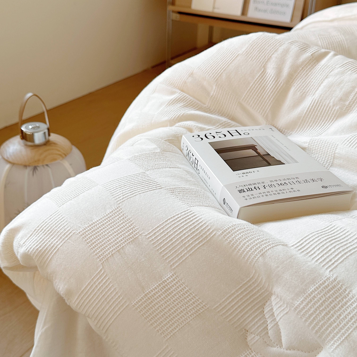 91家纺网 家纺一手货源 找家纺 （总）伟邦枕芯 2025新款高品质李冠奇大豆春秋被被子被芯