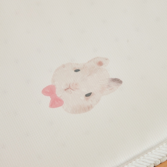 91家纺网 家纺一手货源 找家纺 艾佳宝贝 2025春夏A类多动能儿童双面床垫冰丝凉席 乖萌甜兔