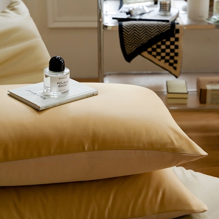 91家纺网 家纺一手货源 找家纺 （总）咏绒家纺工厂店 2025新款60支奥地利兰精天丝单品系列--单枕套