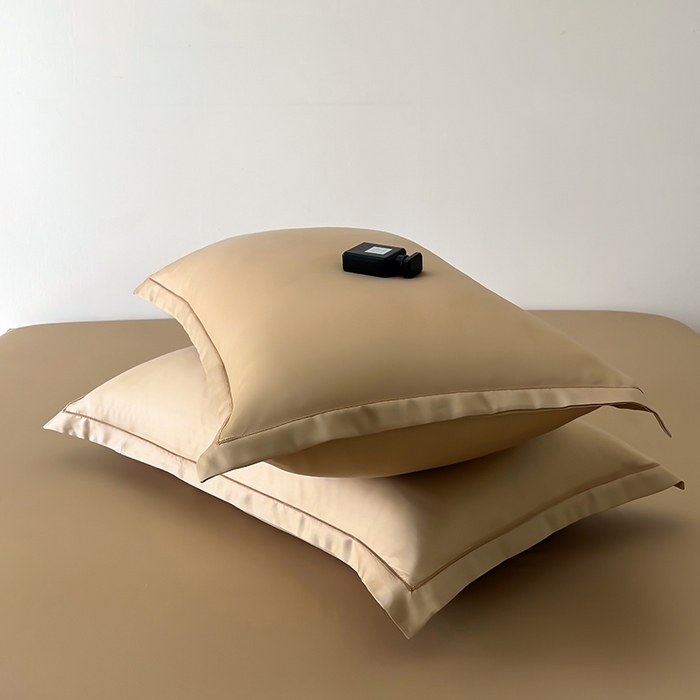 百寐 2025夏季凉感60S进口兰精天丝枕套50*80/40*60枕芯保护套莱赛尔纤维 冰咖啡