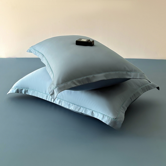 百寐 2025夏季凉感60S进口兰精天丝枕套50*80/40*60枕芯保护套莱赛尔纤维 管兰